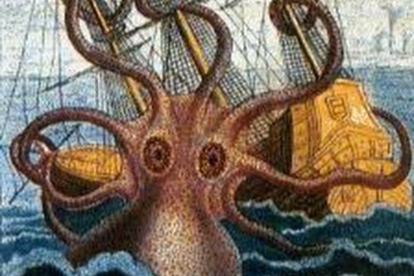 Kraken dark