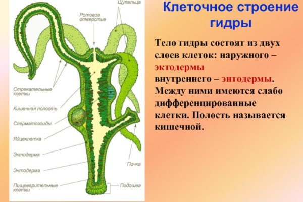 Кракен маркетплейс зеркало krk market com