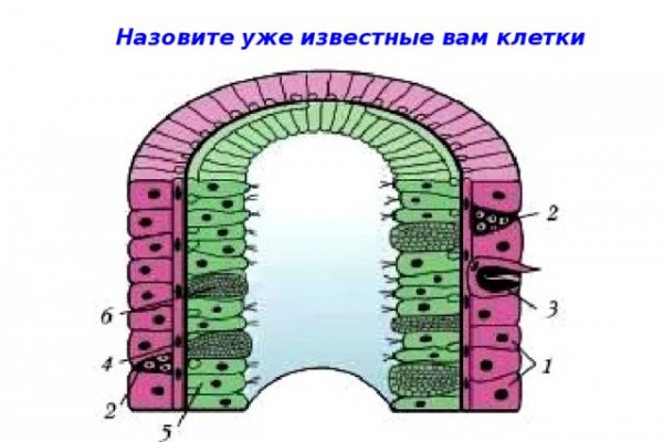 Кракен ссылка тор kr2web in