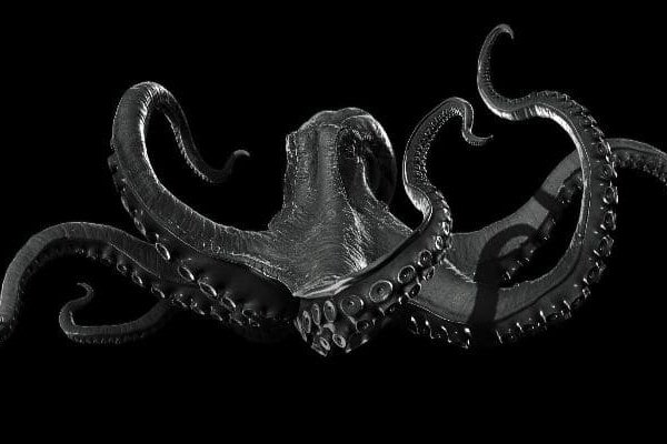 Kraken online