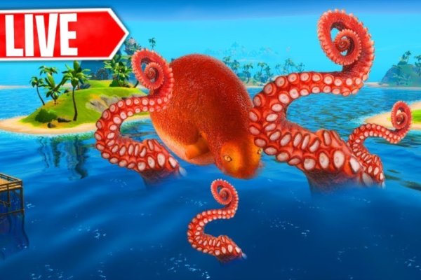 Kraken 12g