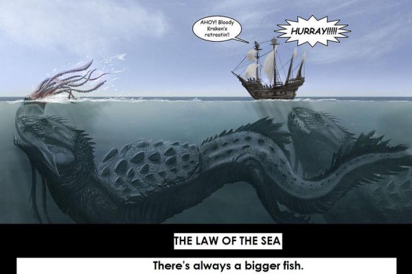 Как найти kraken