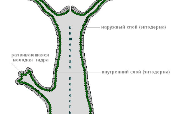 Список даркнет сайтов